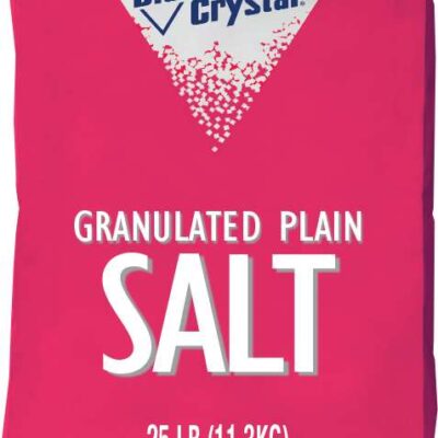 Salt PLAIN 25# bag