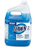 Dawn Dish Detergent 1 gallon