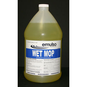Wet/Damp Mop 1 gallon