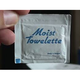 Moist Towelettes 100 count